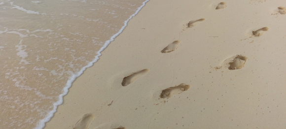 footprints-1145883_1920.jpg